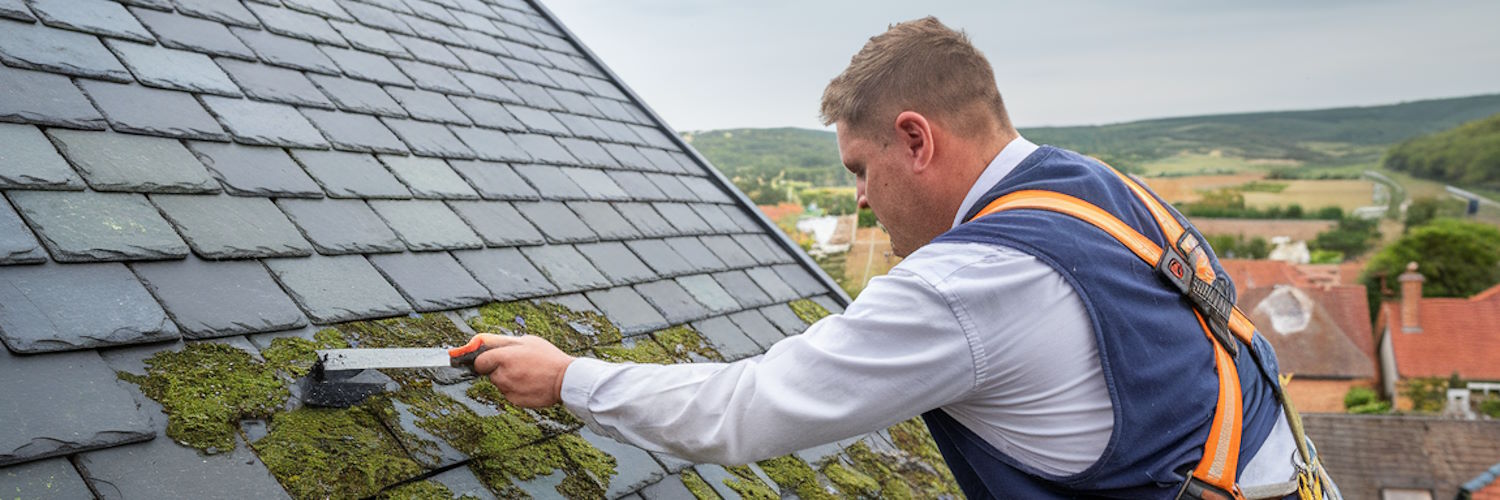 Nettoyage de toiture à Angoulême