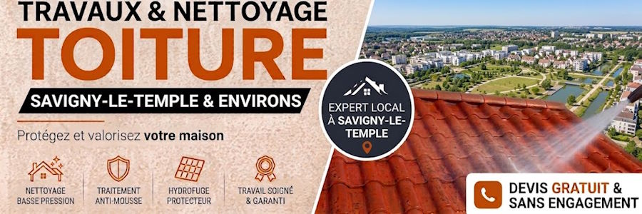 Nettoyage de toiture à Savigny-le-Temple